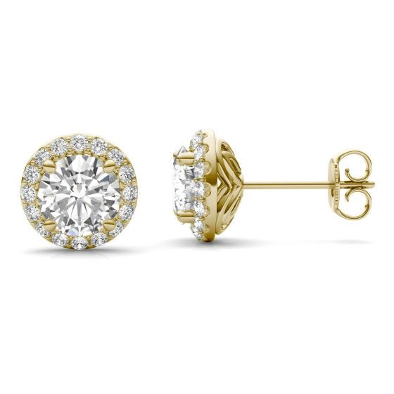 2.40 CTW DEW Round Forever One Moissanite Halo Earrings 14K Yellow Gold